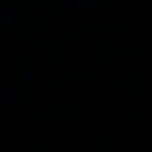 Meet your Posher, Ryann